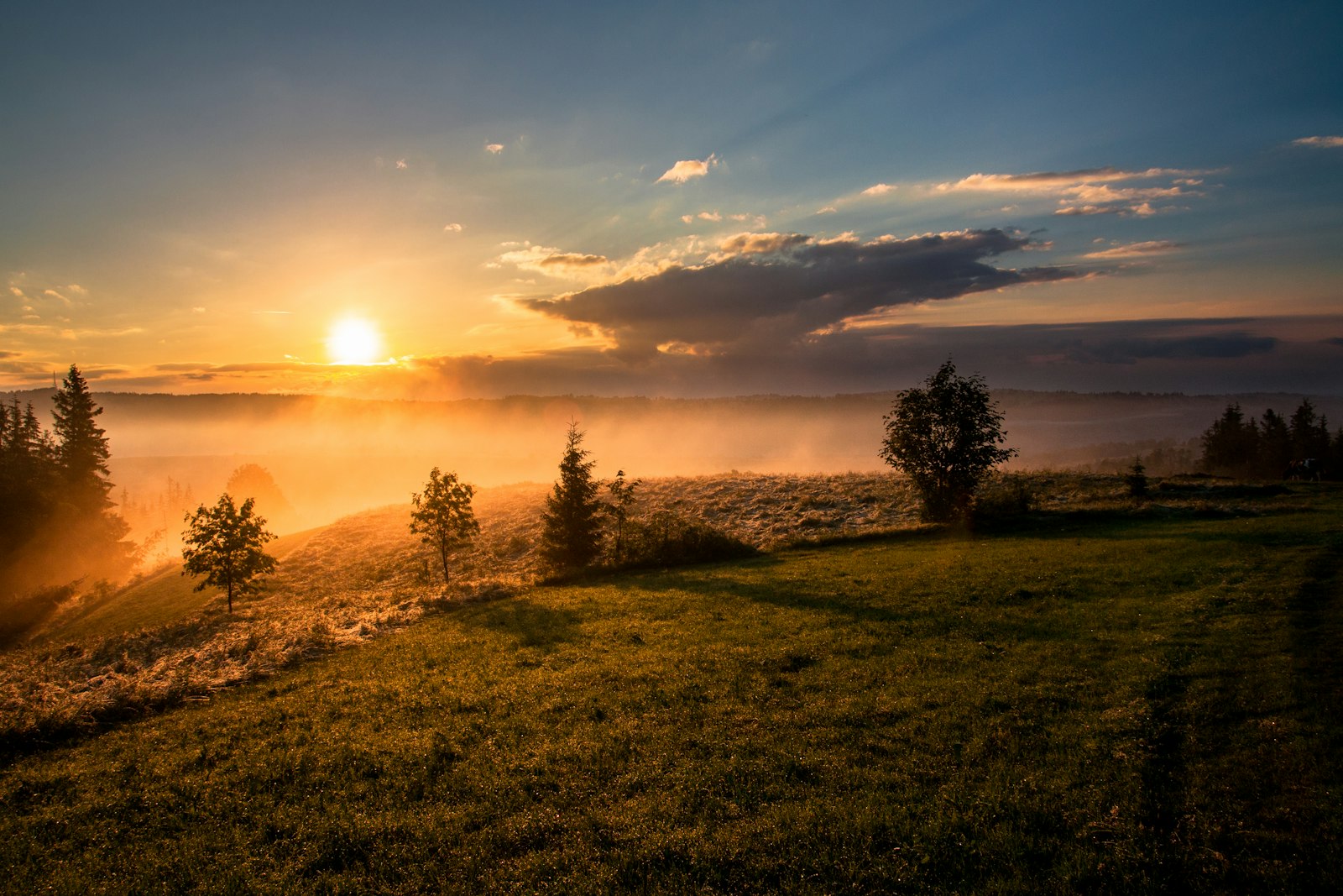 Sunrise breaking over a misty meadow